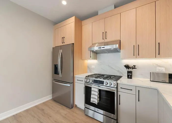 New Build In Pilsen Spacious 2 Bed 2 Bath Unit Chicago