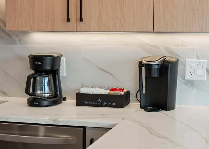 New Build In Pilsen Spacious 2 Bed 2 Bath Unit