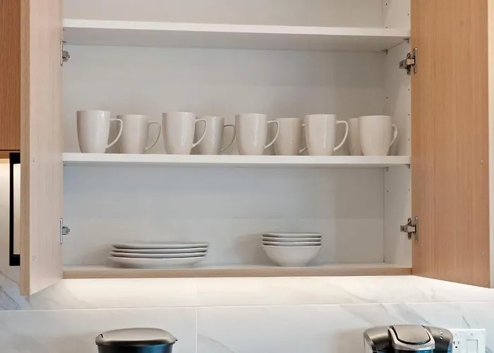 New Build In Pilsen Spacious 2 Bed 2 Bath Unit *