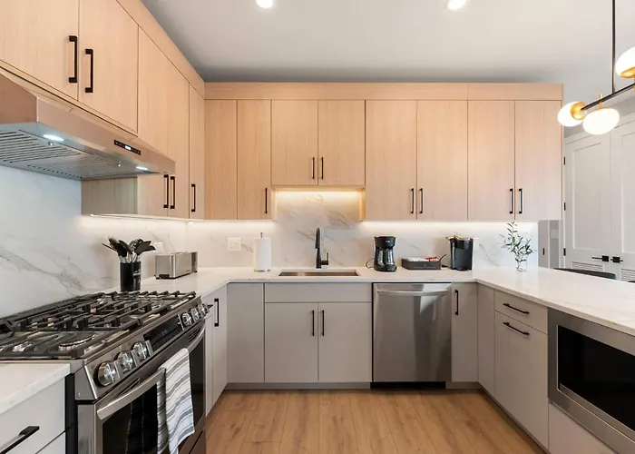 New Build In Pilsen Spacious 2 Bed 2 Bath Unit